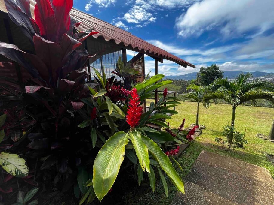 Chalet Zen Bella Vista San Juan  エクステリア 写真